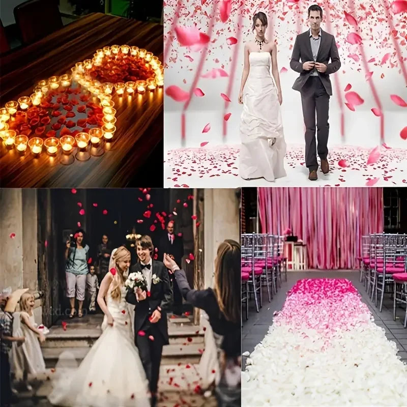 VelvetRose Petals image 7